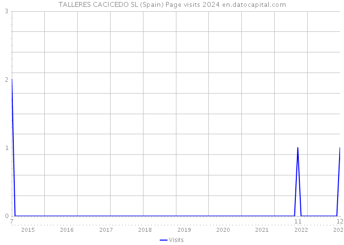 TALLERES CACICEDO SL (Spain) Page visits 2024 