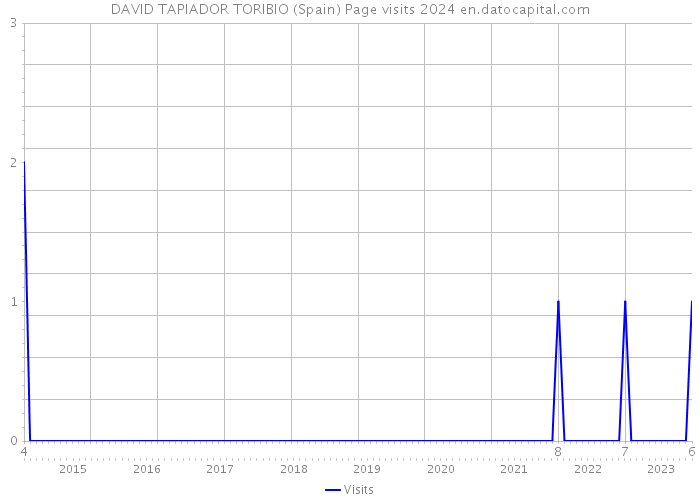 DAVID TAPIADOR TORIBIO (Spain) Page visits 2024 