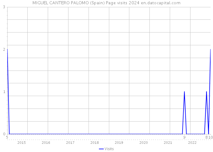 MIGUEL CANTERO PALOMO (Spain) Page visits 2024 