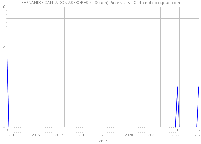 FERNANDO CANTADOR ASESORES SL (Spain) Page visits 2024 