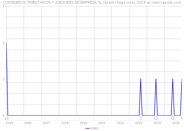 CONSEJEROS TRIBUTARIOS Y ASESORES DE EMPRESA SL (Spain) Page visits 2024 