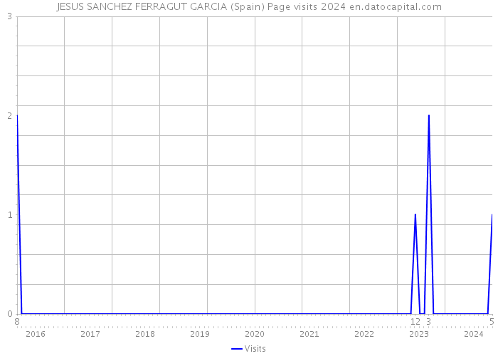 JESUS SANCHEZ FERRAGUT GARCIA (Spain) Page visits 2024 