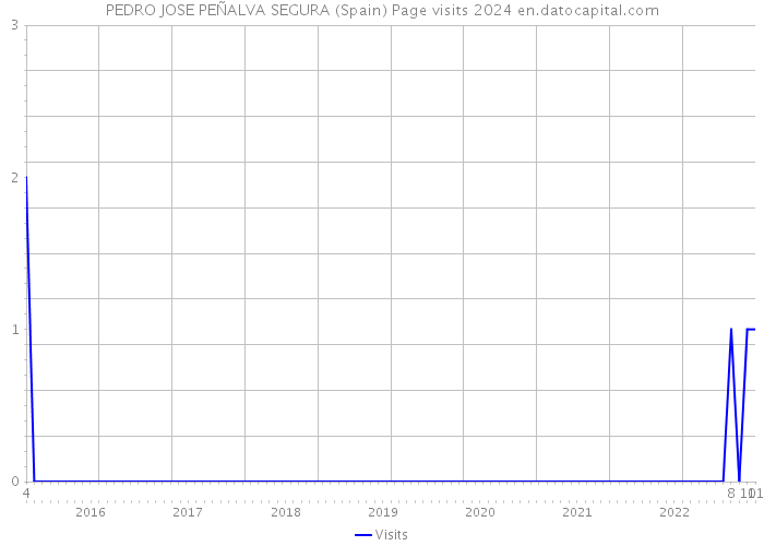 PEDRO JOSE PEÑALVA SEGURA (Spain) Page visits 2024 