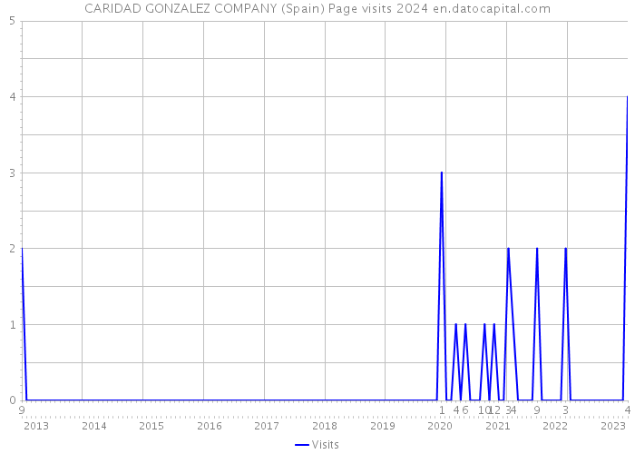 CARIDAD GONZALEZ COMPANY (Spain) Page visits 2024 