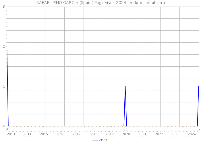 RAFAEL PINO GARCIA (Spain) Page visits 2024 