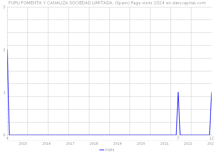 FOPU FOMENTA Y CANALIZA SOCIEDAD LIMITADA. (Spain) Page visits 2024 