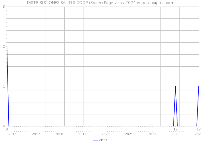 DISTRIBUCIONES SALIN S COOP (Spain) Page visits 2024 