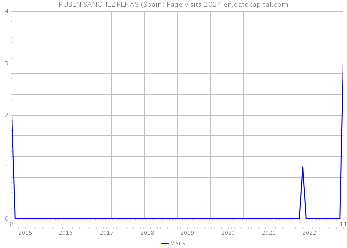 RUBEN SANCHEZ PENAS (Spain) Page visits 2024 