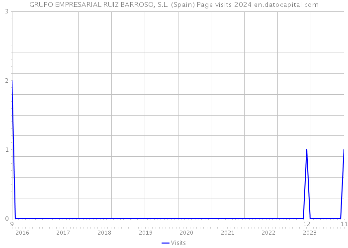 GRUPO EMPRESARIAL RUIZ BARROSO, S.L. (Spain) Page visits 2024 