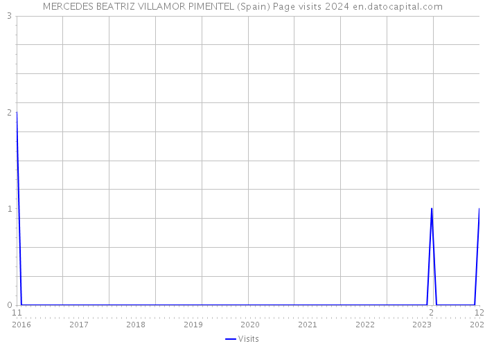 MERCEDES BEATRIZ VILLAMOR PIMENTEL (Spain) Page visits 2024 