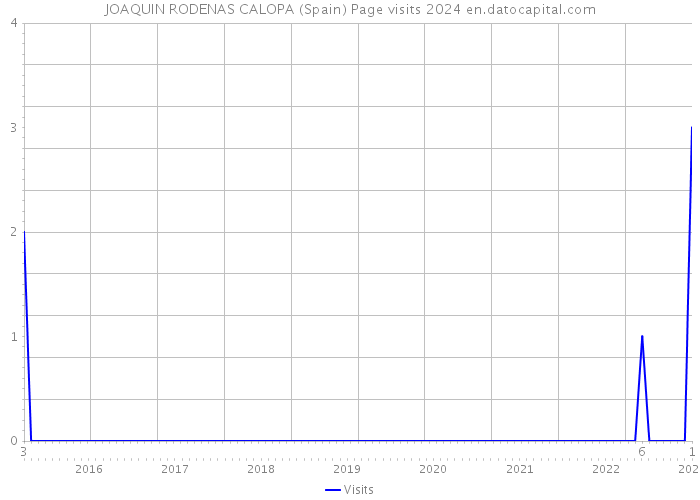 JOAQUIN RODENAS CALOPA (Spain) Page visits 2024 