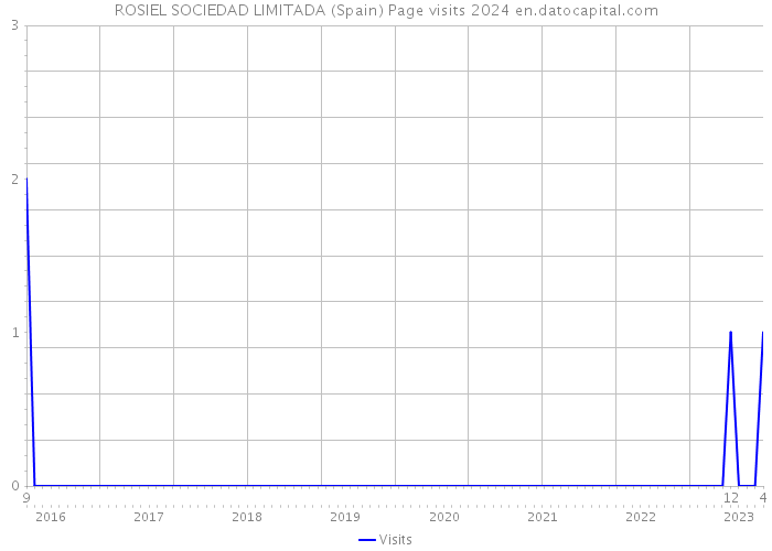 ROSIEL SOCIEDAD LIMITADA (Spain) Page visits 2024 