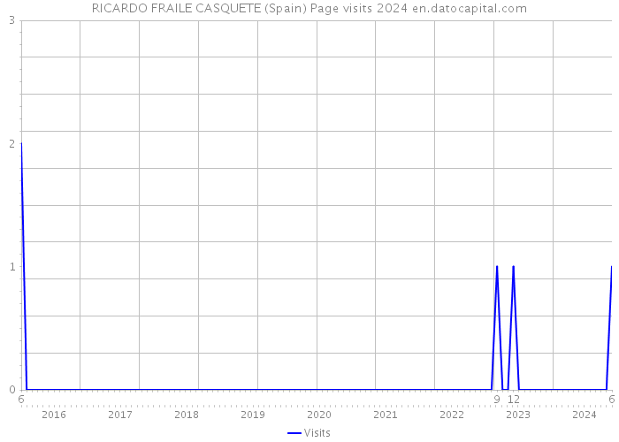 RICARDO FRAILE CASQUETE (Spain) Page visits 2024 