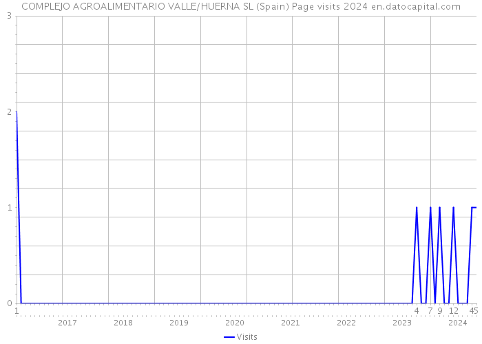 COMPLEJO AGROALIMENTARIO VALLE/HUERNA SL (Spain) Page visits 2024 