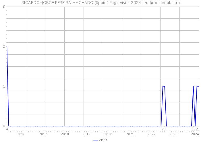 RICARDO-JORGE PEREIRA MACHADO (Spain) Page visits 2024 