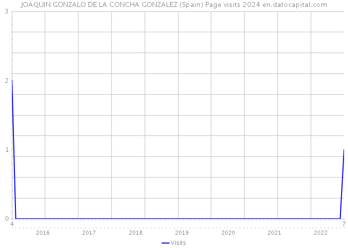 JOAQUIN GONZALO DE LA CONCHA GONZALEZ (Spain) Page visits 2024 