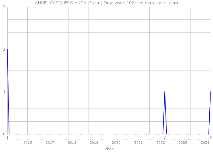 ANGEL CASQUERO ANTA (Spain) Page visits 2024 