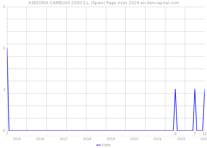 ASESORIA CAMELIAS 2000 S.L. (Spain) Page visits 2024 