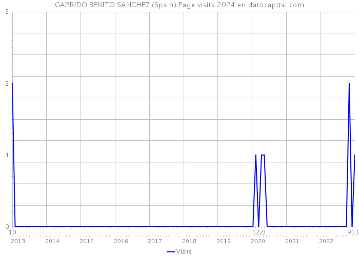 GARRIDO BENITO SANCHEZ (Spain) Page visits 2024 