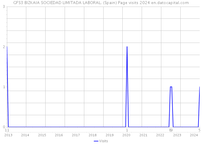 GFS3 BIZKAIA SOCIEDAD LIMITADA LABORAL. (Spain) Page visits 2024 