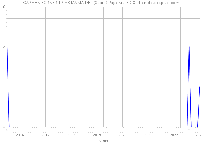 CARMEN FORNER TRIAS MARIA DEL (Spain) Page visits 2024 