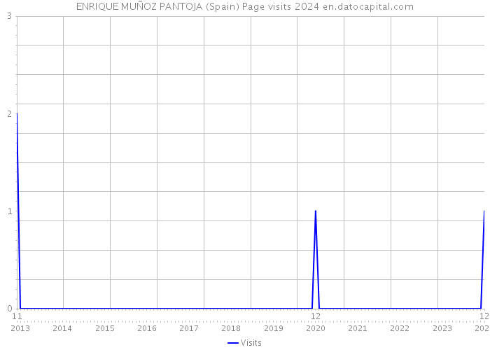 ENRIQUE MUÑOZ PANTOJA (Spain) Page visits 2024 