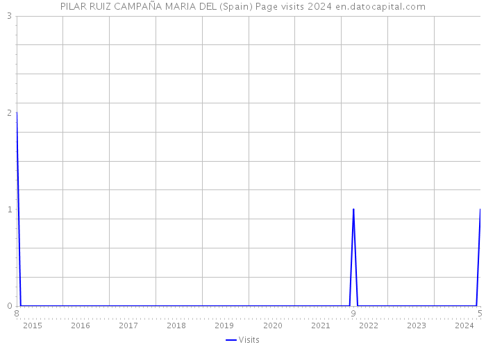 PILAR RUIZ CAMPAÑA MARIA DEL (Spain) Page visits 2024 