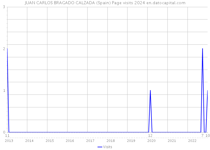 JUAN CARLOS BRAGADO CALZADA (Spain) Page visits 2024 