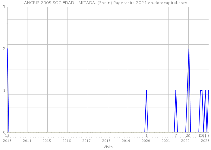 ANCRIS 2005 SOCIEDAD LIMITADA. (Spain) Page visits 2024 