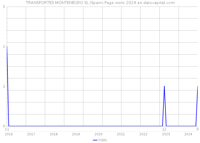 TRANSPORTES MONTENEGRO SL (Spain) Page visits 2024 