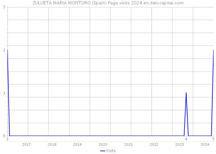 ZULUETA MARIA MONTORO (Spain) Page visits 2024 