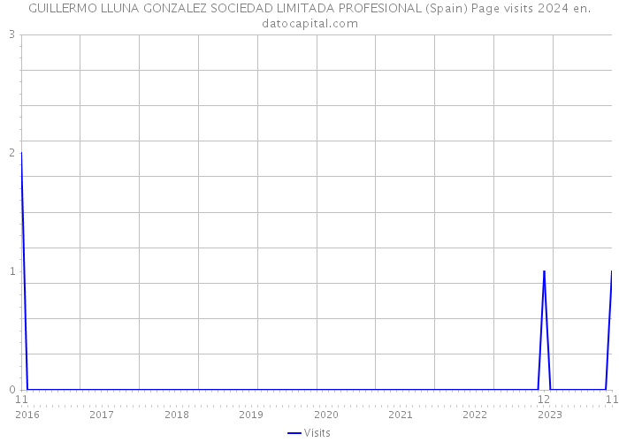 GUILLERMO LLUNA GONZALEZ SOCIEDAD LIMITADA PROFESIONAL (Spain) Page visits 2024 