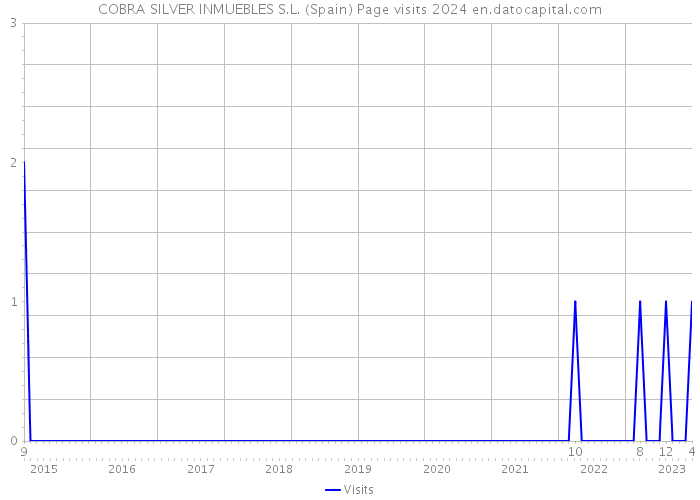 COBRA SILVER INMUEBLES S.L. (Spain) Page visits 2024 