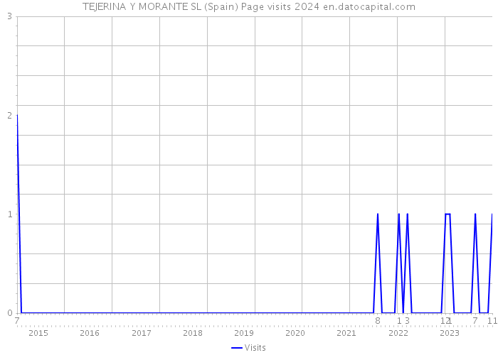 TEJERINA Y MORANTE SL (Spain) Page visits 2024 