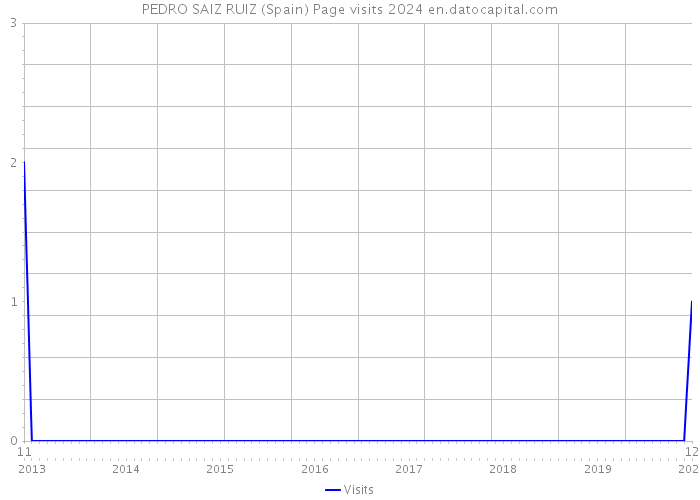 PEDRO SAIZ RUIZ (Spain) Page visits 2024 