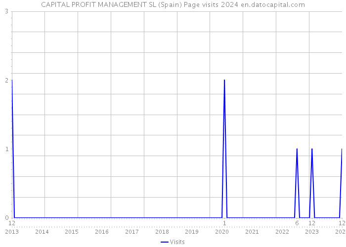 CAPITAL PROFIT MANAGEMENT SL (Spain) Page visits 2024 