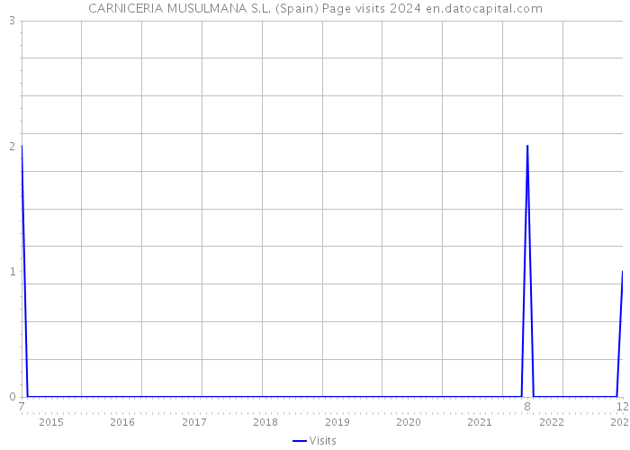 CARNICERIA MUSULMANA S.L. (Spain) Page visits 2024 