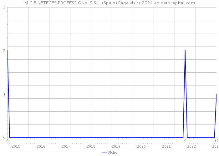 M.G.B NETEGES PROFESSIONALS S.L. (Spain) Page visits 2024 