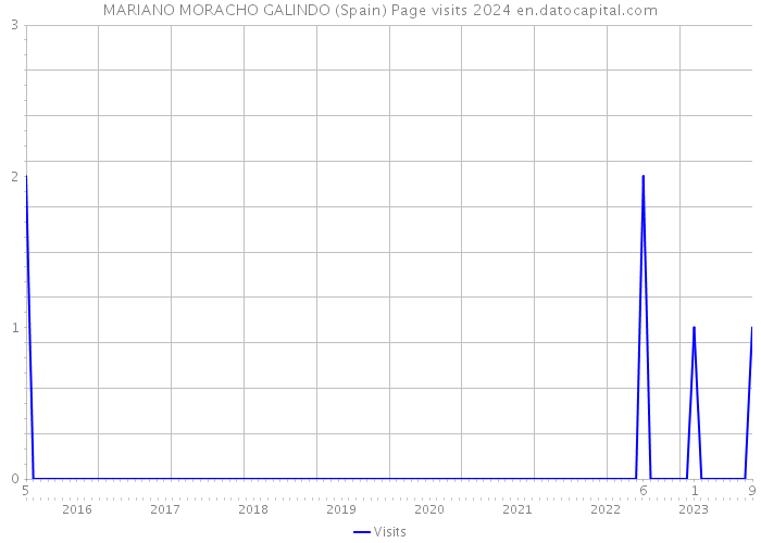 MARIANO MORACHO GALINDO (Spain) Page visits 2024 