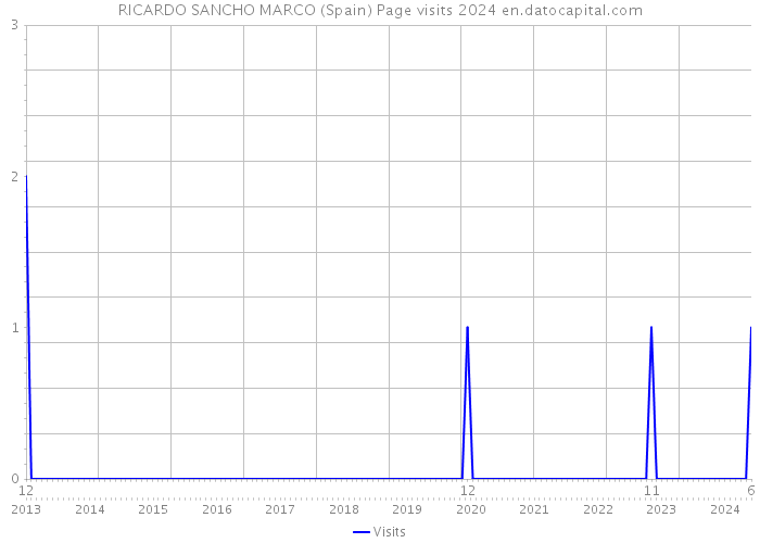 RICARDO SANCHO MARCO (Spain) Page visits 2024 