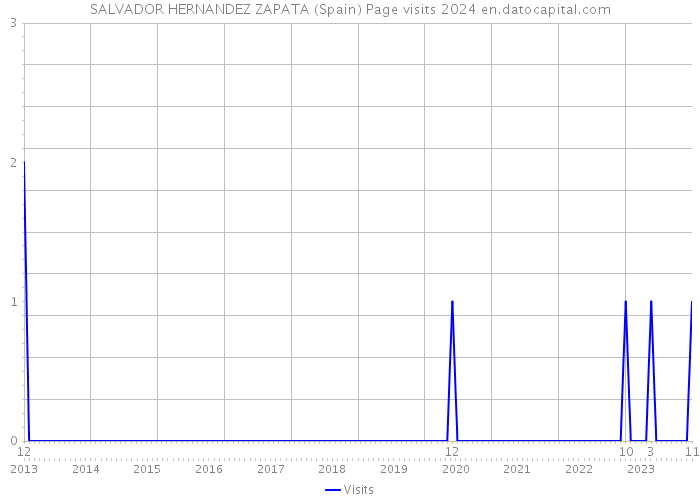 SALVADOR HERNANDEZ ZAPATA (Spain) Page visits 2024 