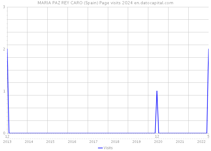 MARIA PAZ REY CARO (Spain) Page visits 2024 