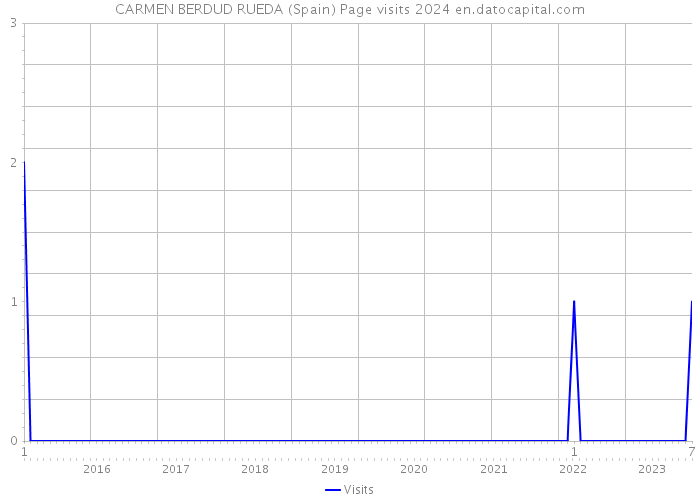 CARMEN BERDUD RUEDA (Spain) Page visits 2024 