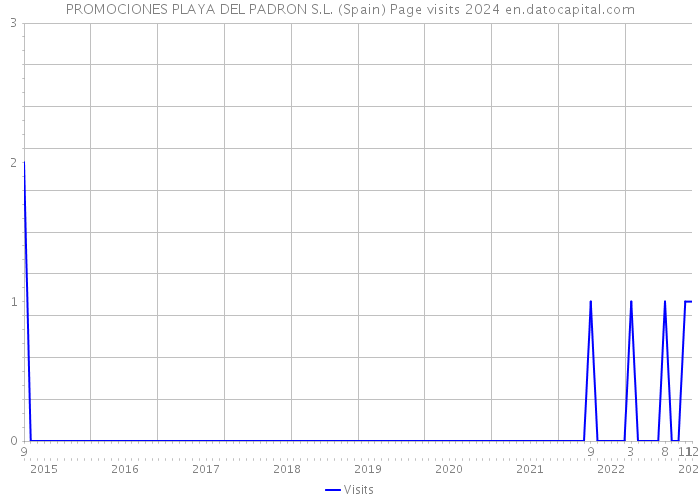 PROMOCIONES PLAYA DEL PADRON S.L. (Spain) Page visits 2024 