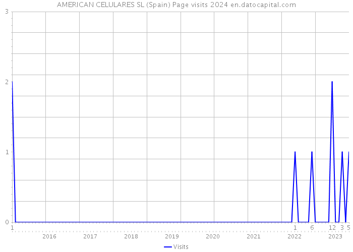 AMERICAN CELULARES SL (Spain) Page visits 2024 