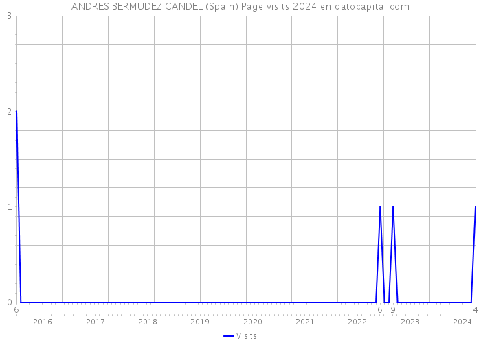 ANDRES BERMUDEZ CANDEL (Spain) Page visits 2024 