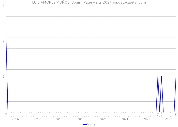 LUIS AMORES MUÑOZ (Spain) Page visits 2024 