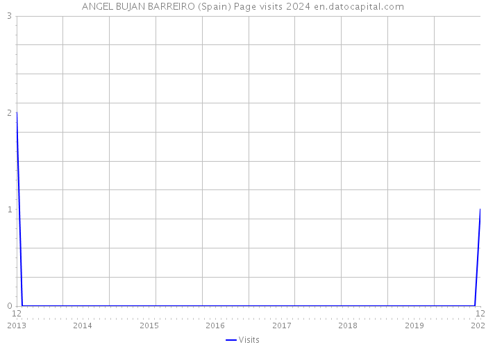 ANGEL BUJAN BARREIRO (Spain) Page visits 2024 