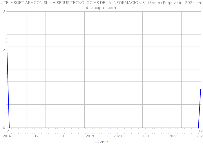 UTE IASOFT ARAGON SL - HIBERUS TECNOLOGIAS DE LA INFORMACION SL (Spain) Page visits 2024 