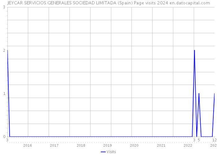 JEYCAR SERVICIOS GENERALES SOCIEDAD LIMITADA (Spain) Page visits 2024 